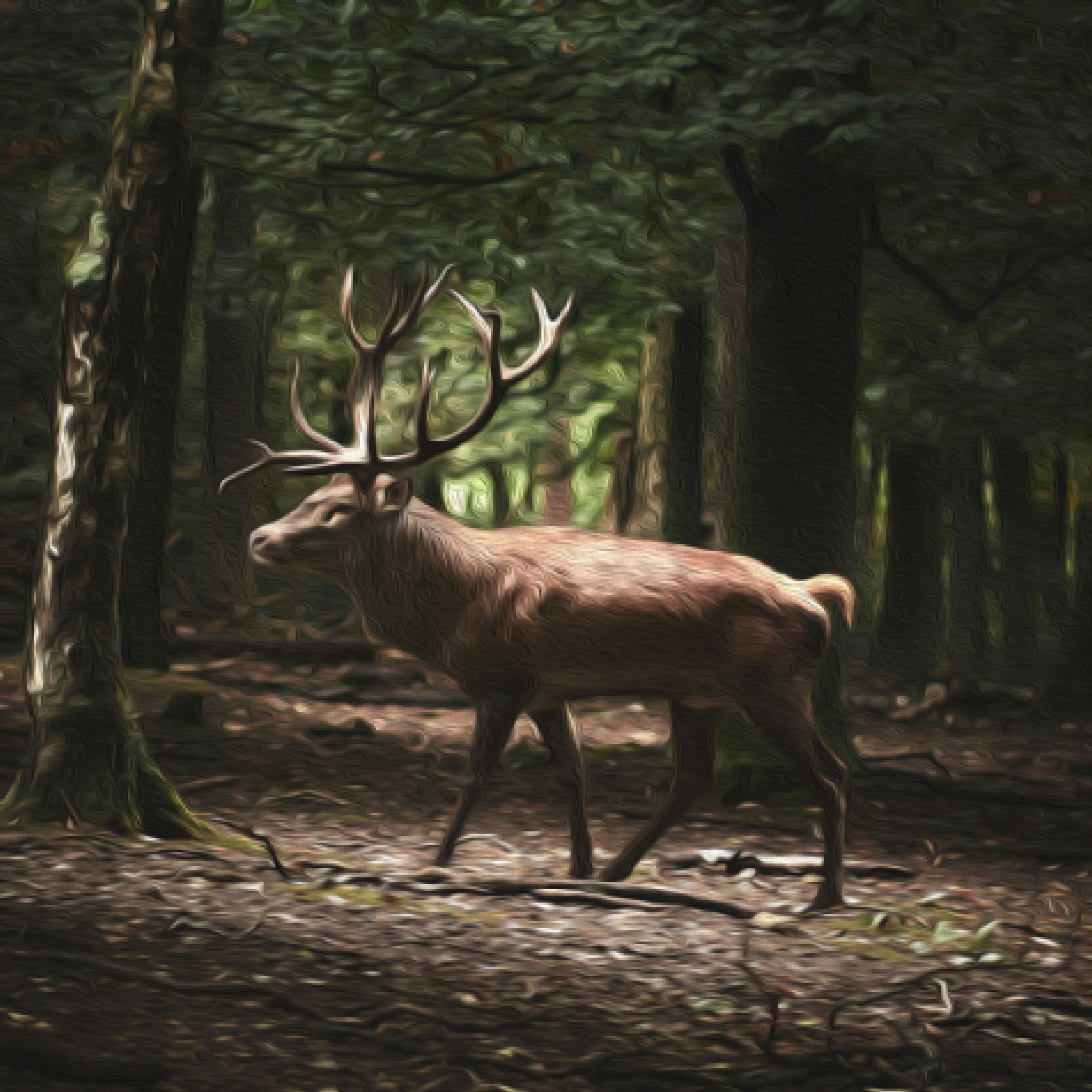 radical stag walking in a forest